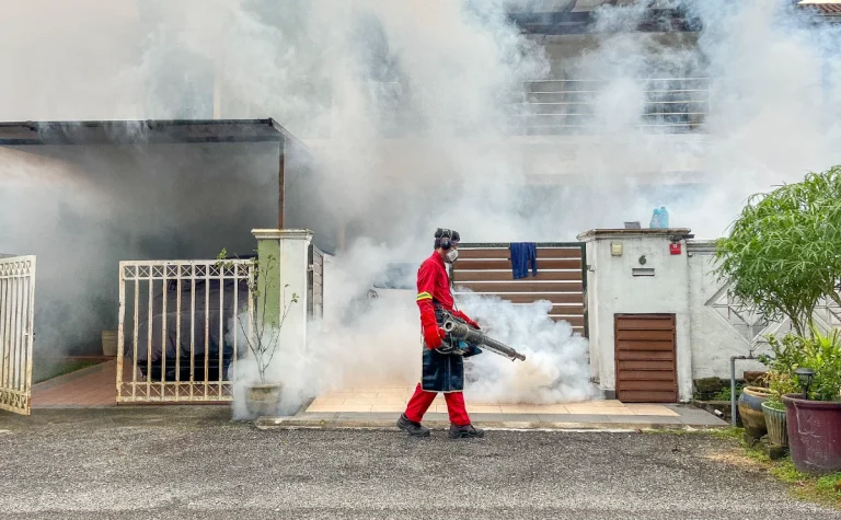 Nationwide dengue cases up 27 per cent