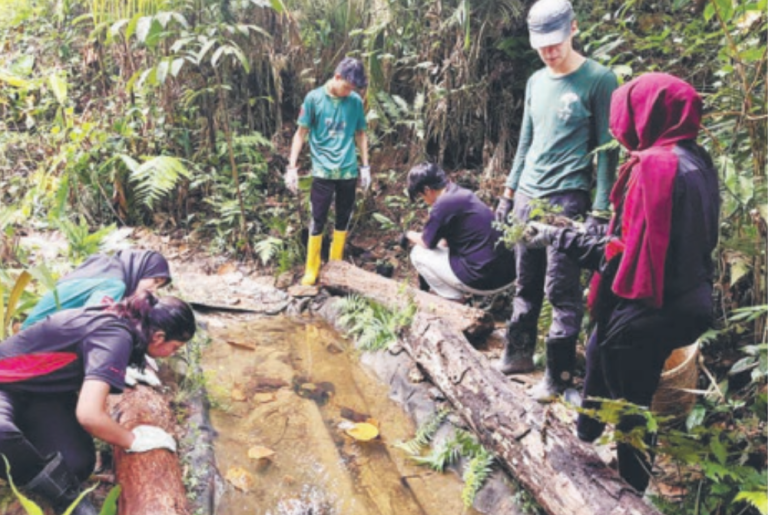 MSU’s CaSeH environment marks decade of conservation and sustainability efforts
