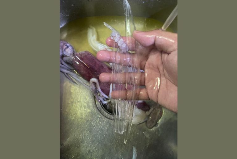 Man claims to find plastic inside squid, triggers jokes and debate online