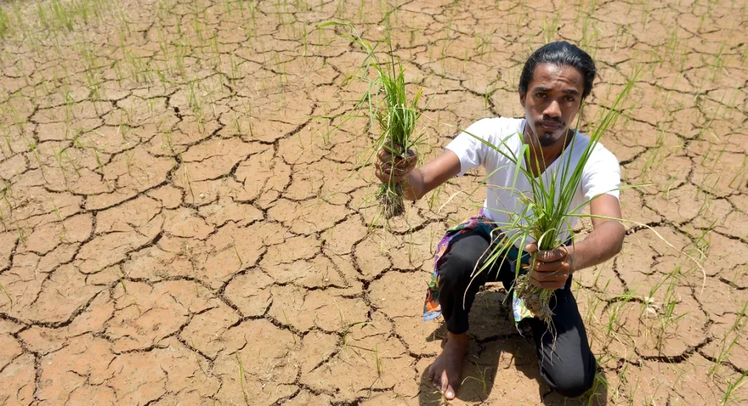 Decades of ecological damage leave Malaysia exposed to severe El Nino impacts
