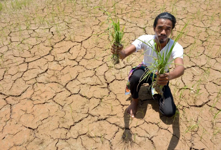 Decades of ecological damage leave Malaysia exposed to severe El Nino impacts