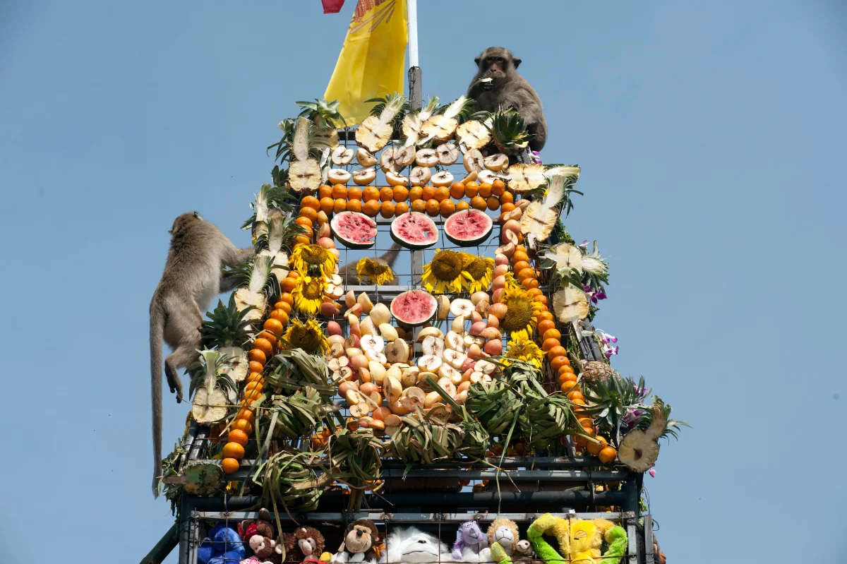 8 unusual festivals in Asia worth discovering