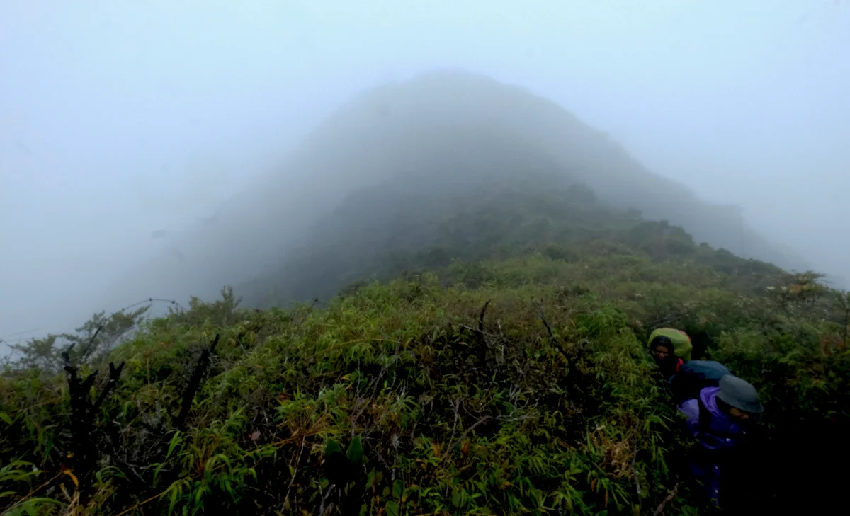 Perak forestry dept bans compressed hikes on high-risk mountains Perak forestry dept bans compressed hikes on high-risk mountains