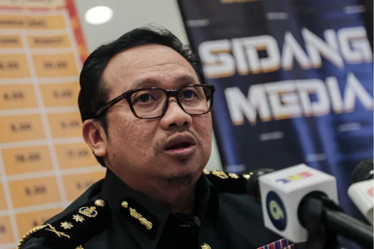 Taiping entertainment outlets raided for copyright breach