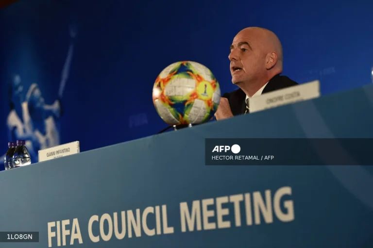 Players gain voice on Fifa Council, says union