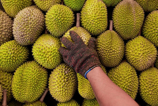 RM1 durian promotion sells 3,000 kg in five minutes