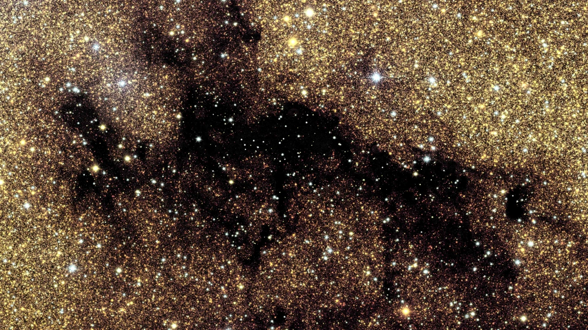 Euclid telescope captures stunning view of Milky Way’s heart Euclid telescope captures stunning view of Milky Way’s heart
