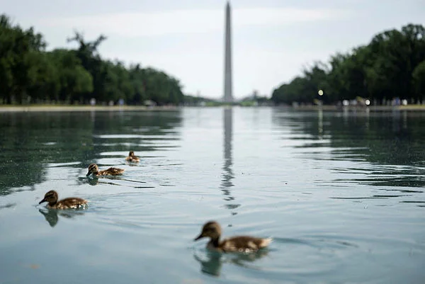 US-POLITICS-TRUMP-RENOVATIONS-REFLECTING-POO Trump threatens prison for damage to Washington Reflecting Pool