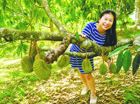 How a Penang family’s orchard became a living archive of memories