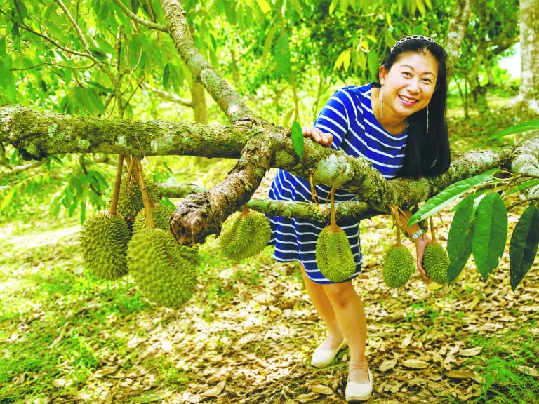 How a Penang family’s orchard became a living archive of memories