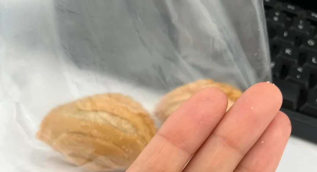 Woman discovers thick green mould inside curry puff purchased at Kelantan market