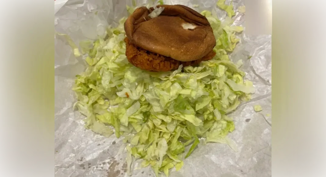 Customer asks for extra lettuce, gets a burger that looks more like a salad — Leaves netizens in stitches