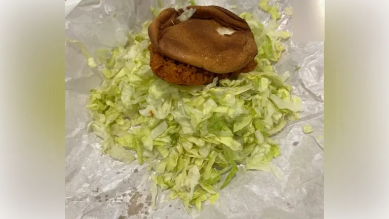 Customer asks for extra lettuce, gets a burger that looks more like a salad — Leaves netizens in stitches