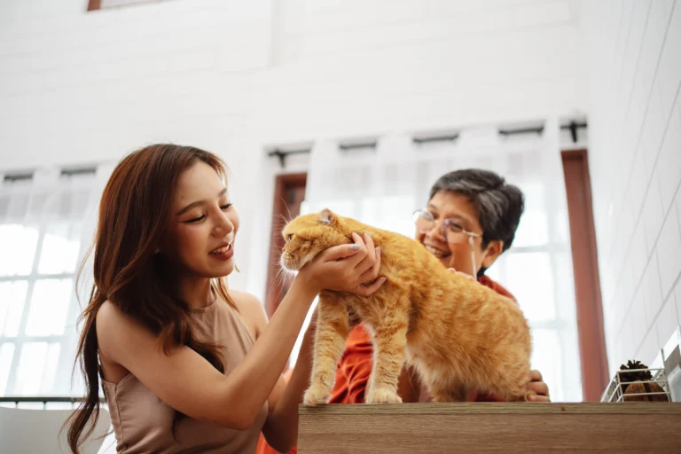 Pet adoption gives rescued animals a second chance while reminding owners that care, patience and commitment begin long after the first day home. - 123RFPIC