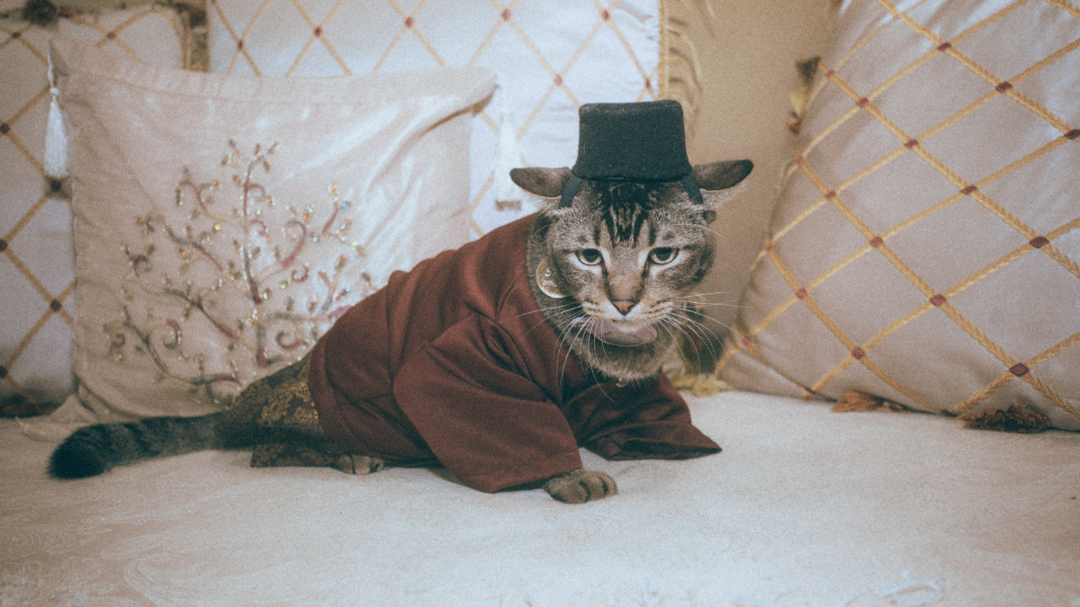 Squid was adopted from SPCA Selangor in 2023 and has since become part of the family’s Raya celebrations. – AMEEN HAZIZI/THESUN