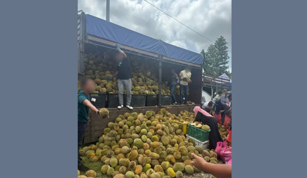 Durian season brings RM2 fruit per kilogram windfall in Malaysia