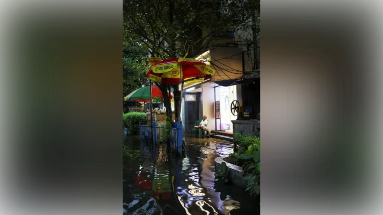 India monsoon revives after stall, heads to central belt