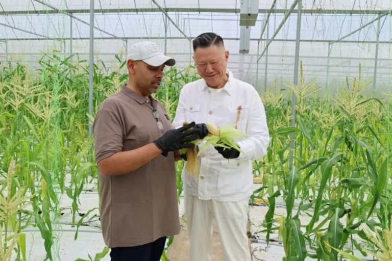 Veggie Nature Farm puts Berjaya Hills Resort on Malaysia's agricultural tourism map