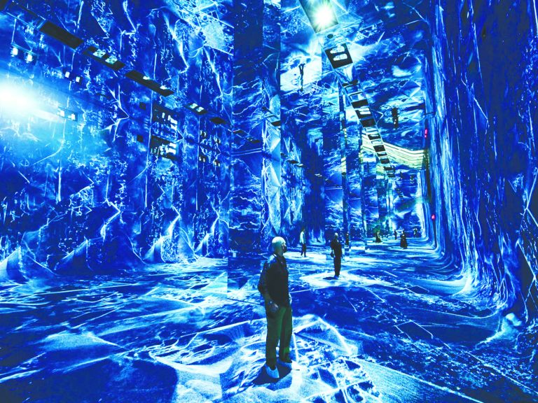 AI museum brings sights, sounds and smells of the rainforest