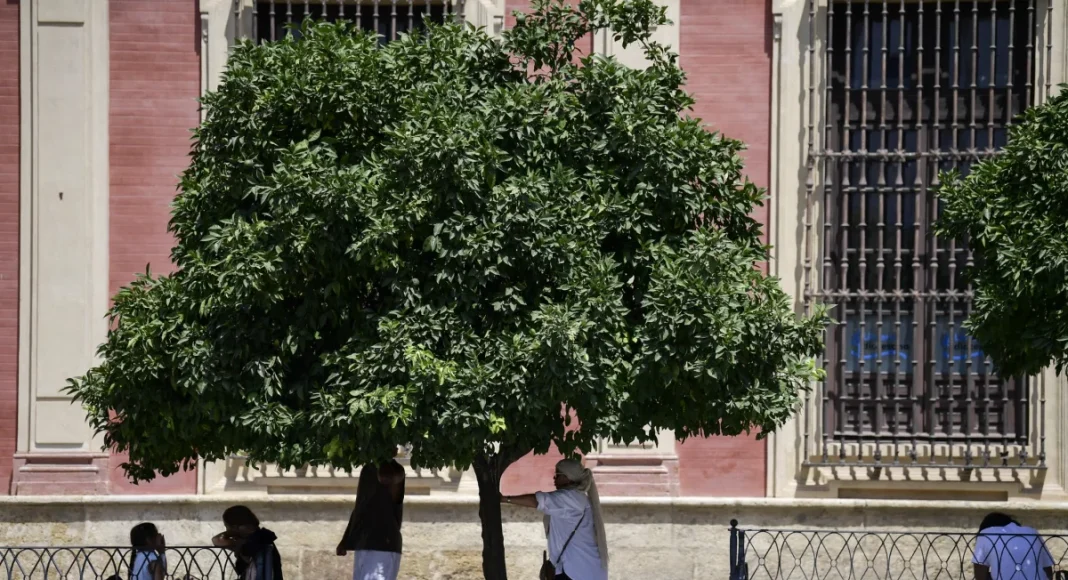 Spain logs third-warmest year on record in 2025