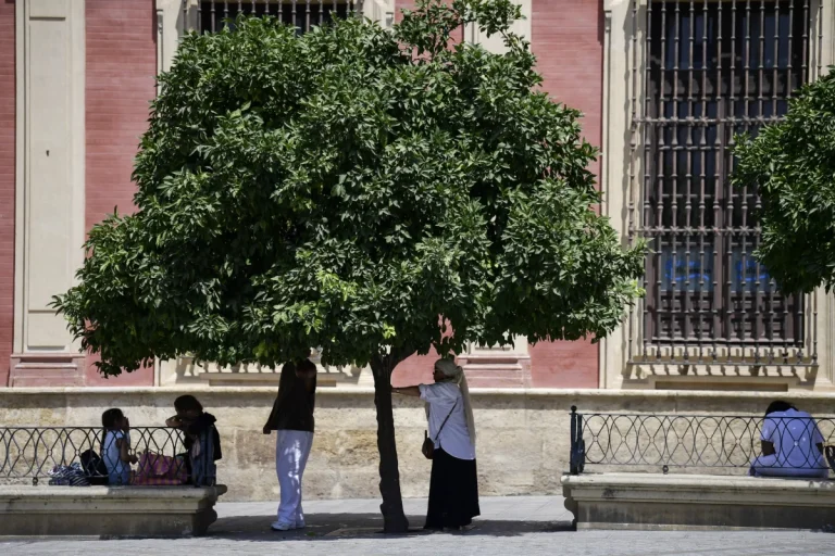 Spain logs third-warmest year on record in 2025