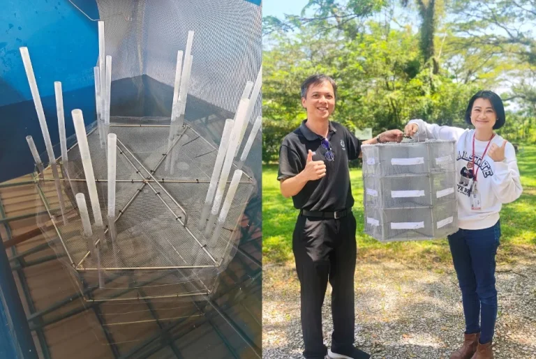 UTAR researchers develop patented cage technology to boost prawn farming productivity