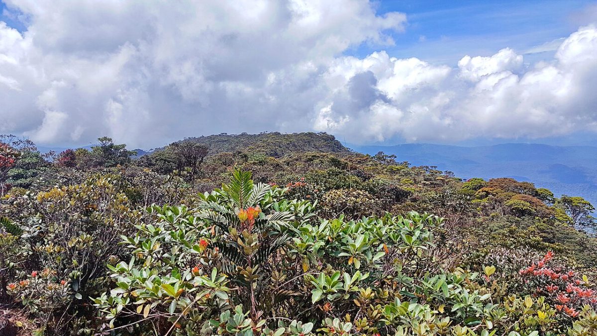 Malaysia’s magnificent mountains Malaysia’s magnificent mountains