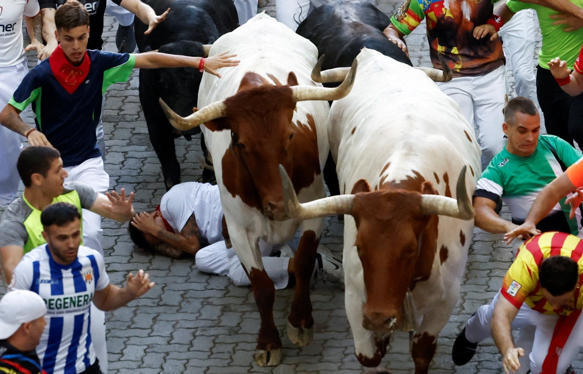57 gored or bruised during Spain's San Fermin runs 57 gored or bruised during Spain's San Fermin runs