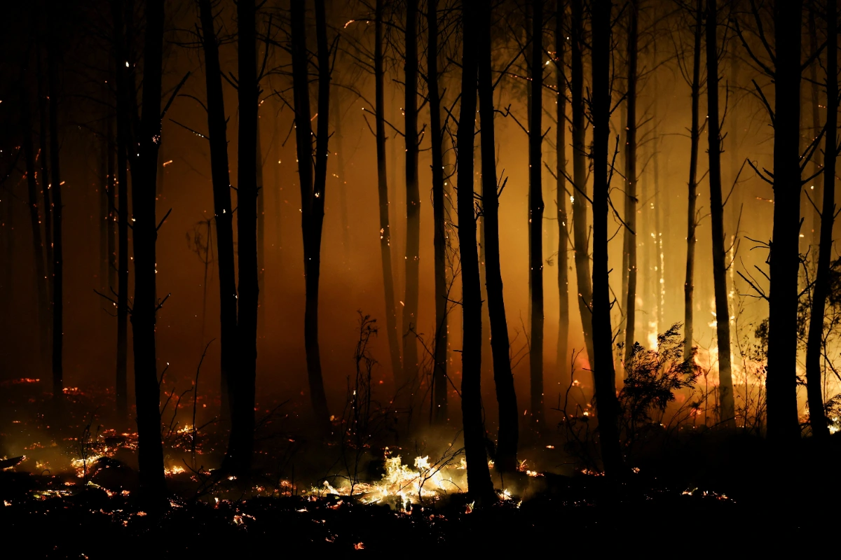 Wildfires force thousands to flee across southern Europe Wildfires force thousands to flee across southern Europe