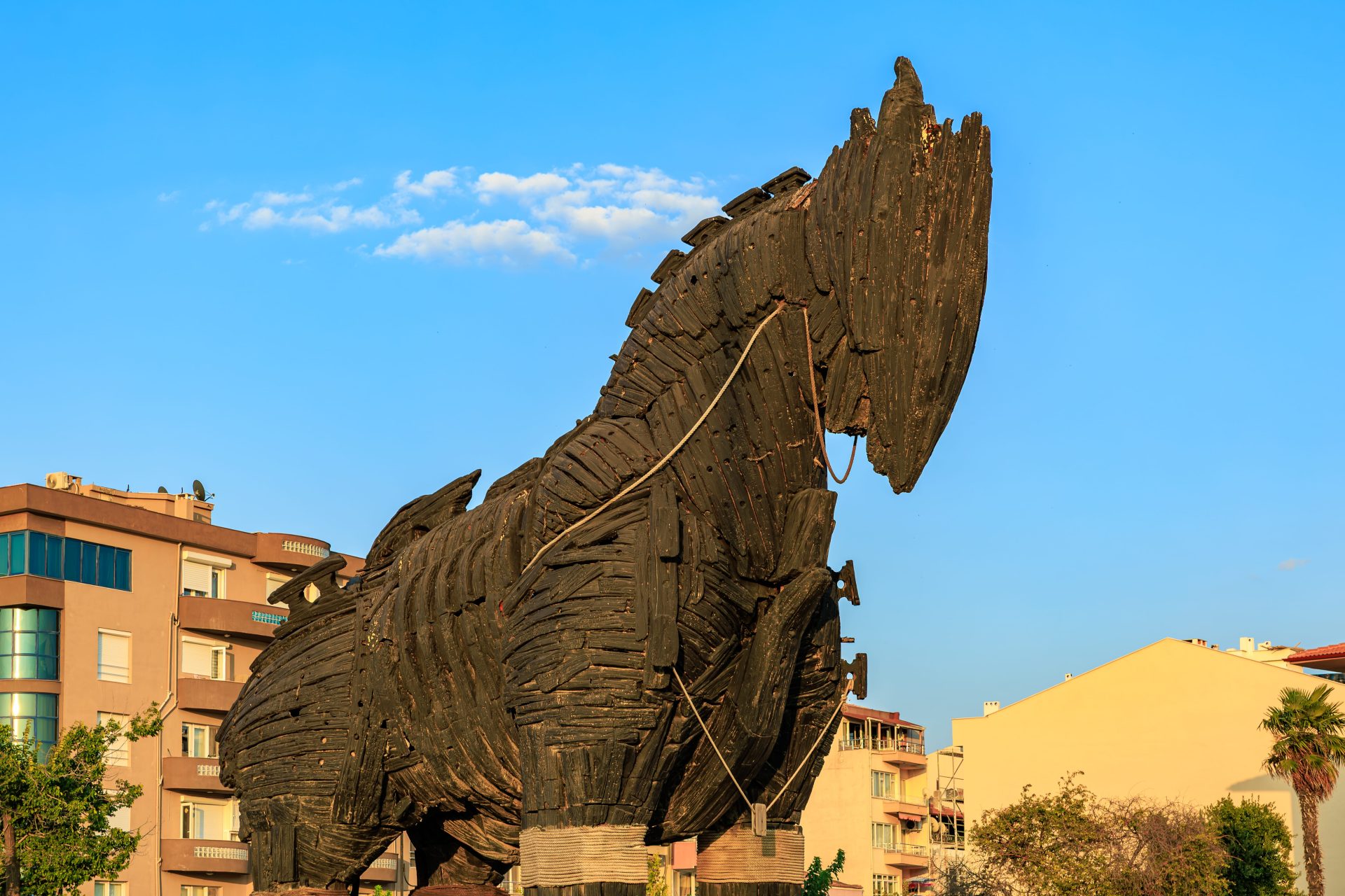 Trojan Horse Trojan Horse