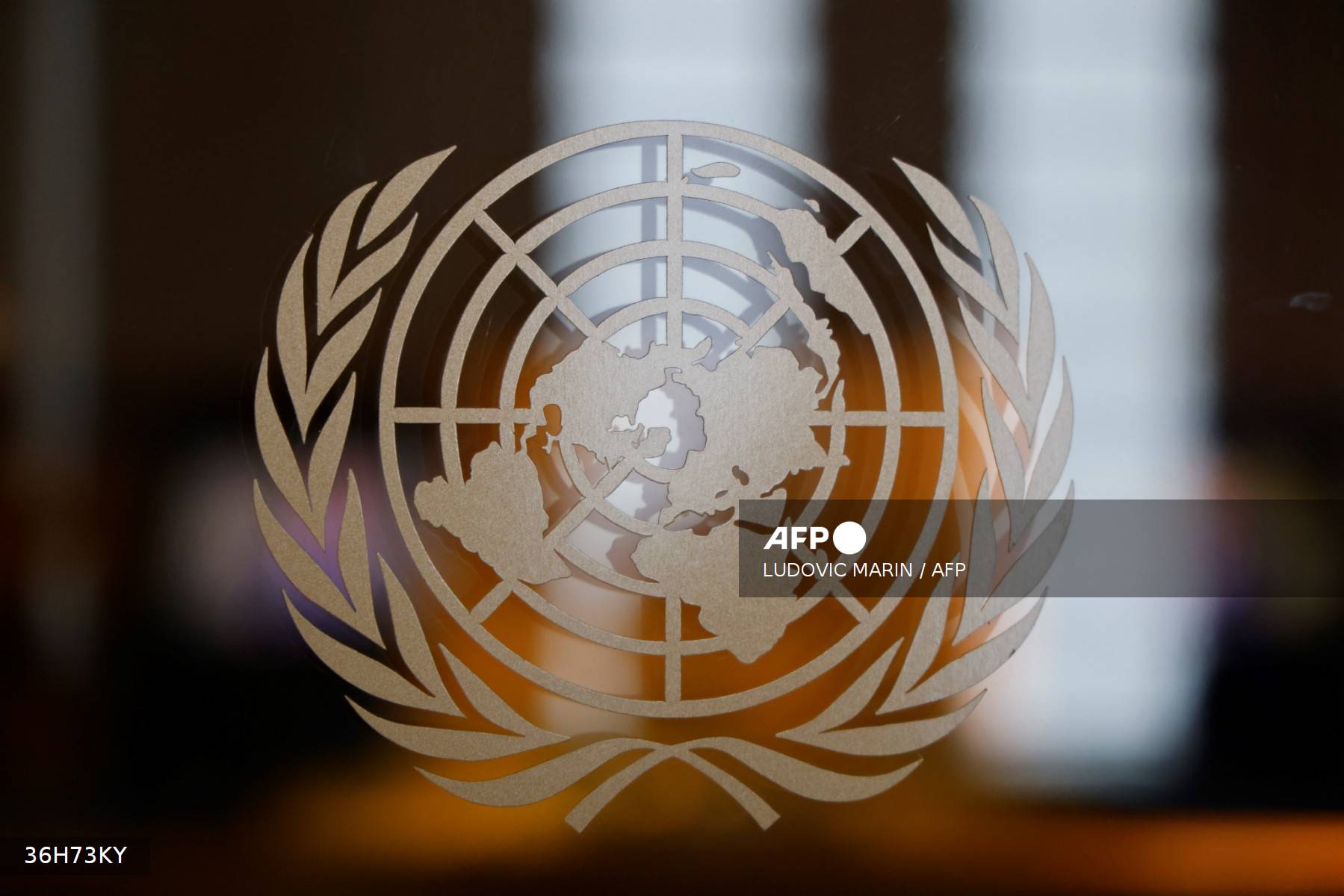 Over 500 feared dead in Myanmar shipwrecks, UN warns Over 500 feared dead in Myanmar shipwrecks, UN warns