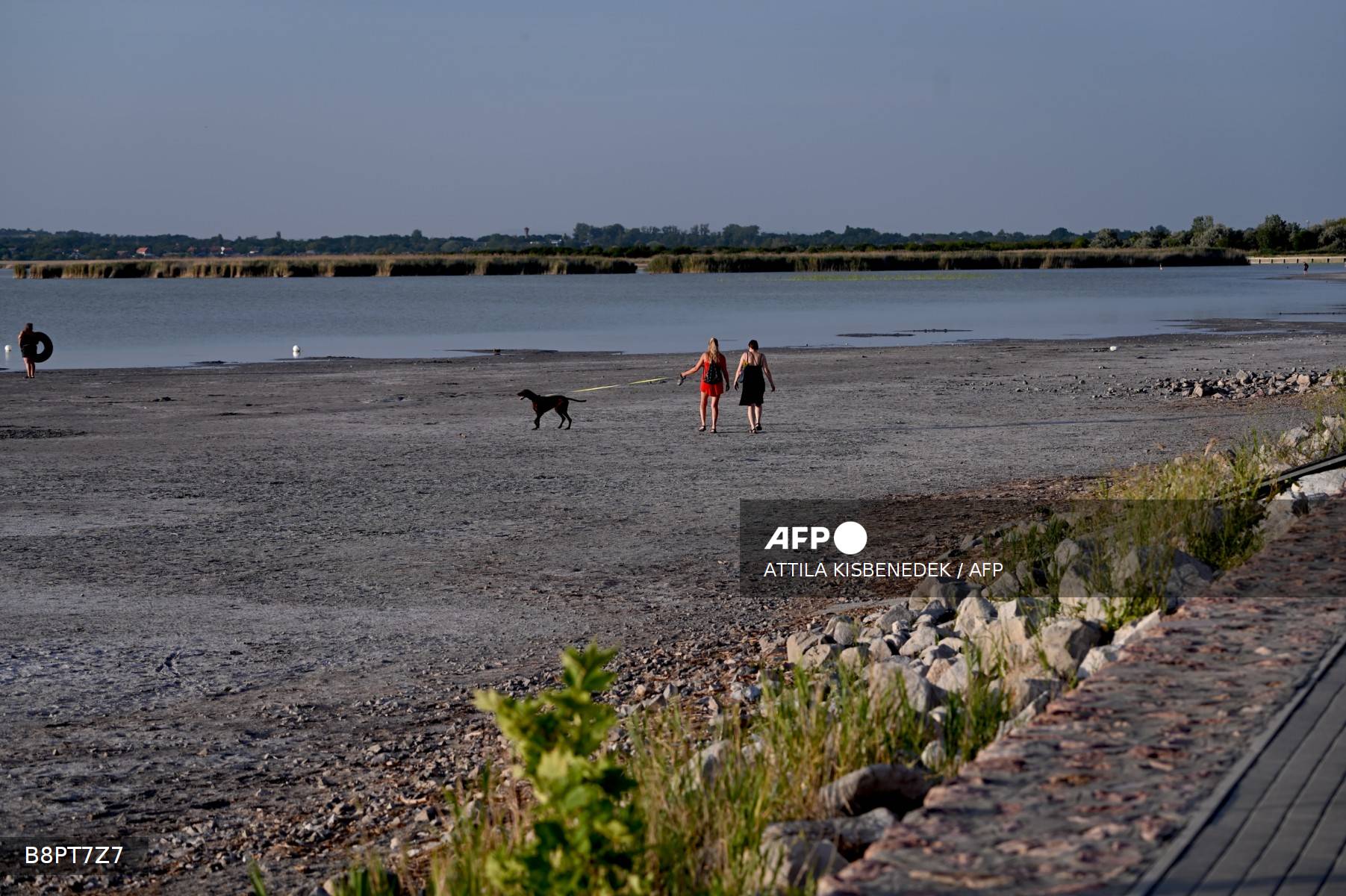 Hungary’s Lake Velence dries up amid climate crisis