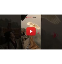 The Changsha Jiandu Museum launches its Digital Exhibition Hall, Allowing Visitors from All Over the World to Adopt Digital Collections with One Click