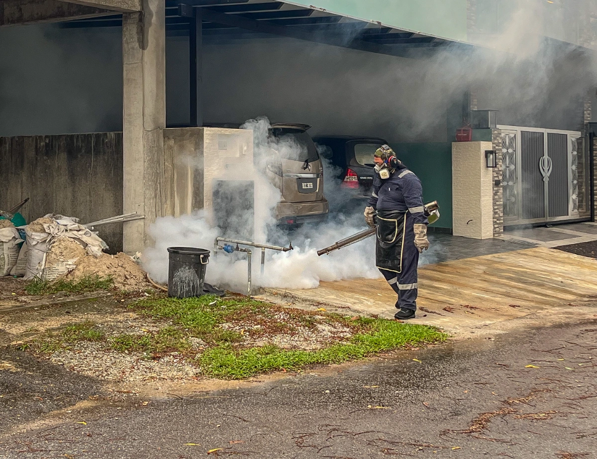 Dengue cases surge past 42000 as deaths rise to 34 Dengue cases surge past 42,000 as deaths rise to 34