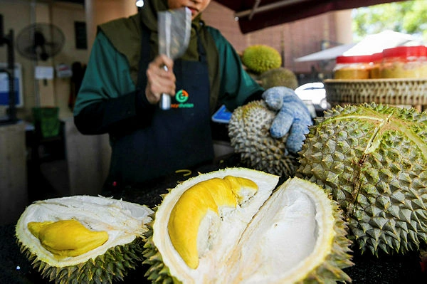 Durian exporters urged to follow China trade rules Durian exporters urged to follow China trade rules
