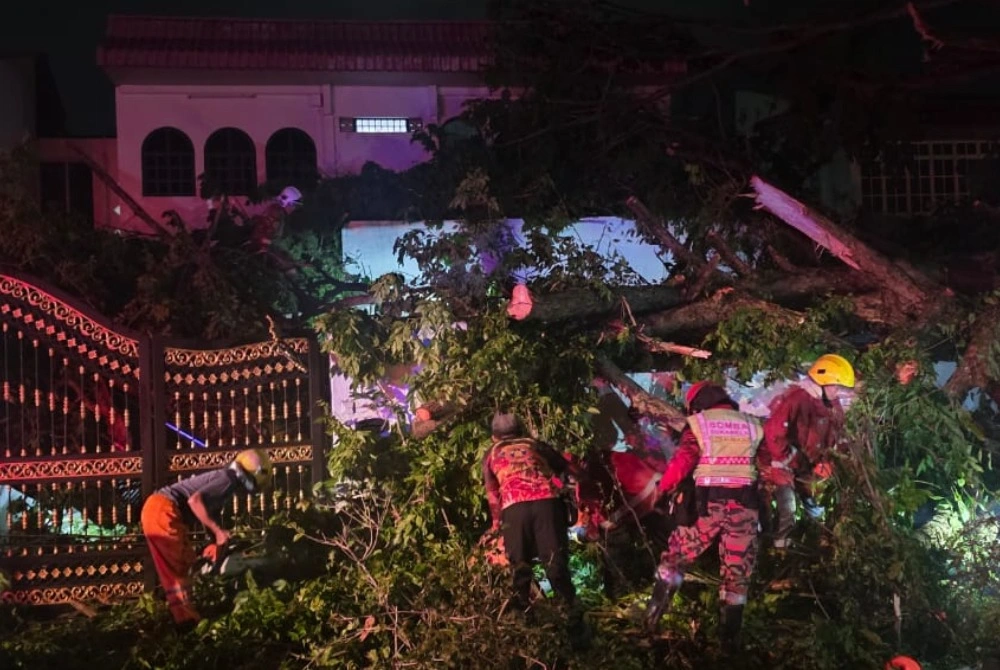 Elderly man rescued after massive heritage tree collapses onto house in George Town
