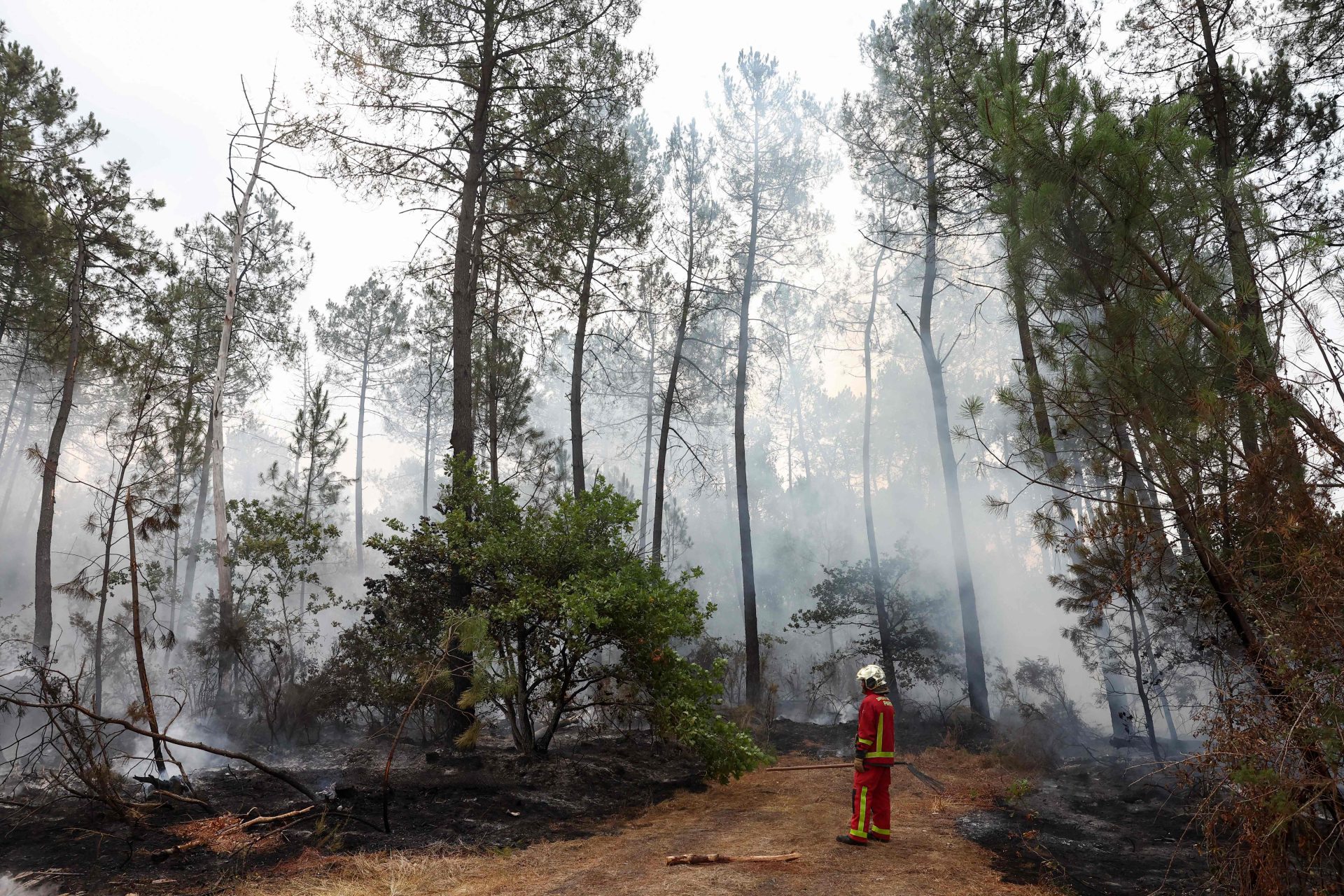 Fury of fire-ravaged French village at being 'sacrificed' for millionaires' peninsula