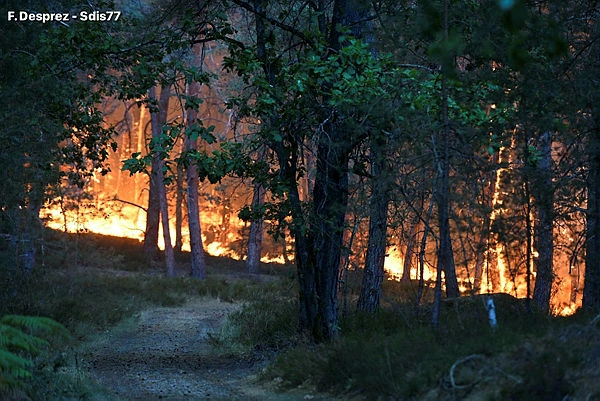 FRANCE-FIRE Fire erupts near main highway south of Paris
