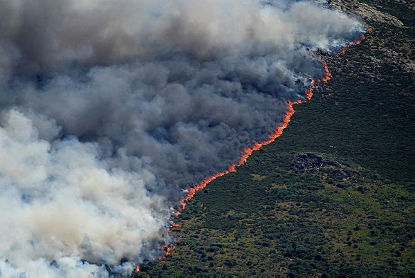 Firefighters race to stop wildfires merging near Madrid Firefighters race to stop wildfires merging near Madrid