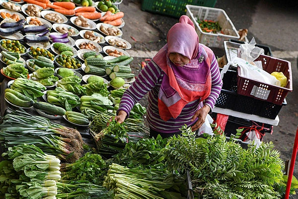 Food security vital amid global tensions says Mat Sabu Food security vital amid global tensions, says Mat Sabu