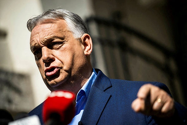 Hungary probes zebra herd linked to Orban allies Hungary probes zebra herd linked to Orban allies