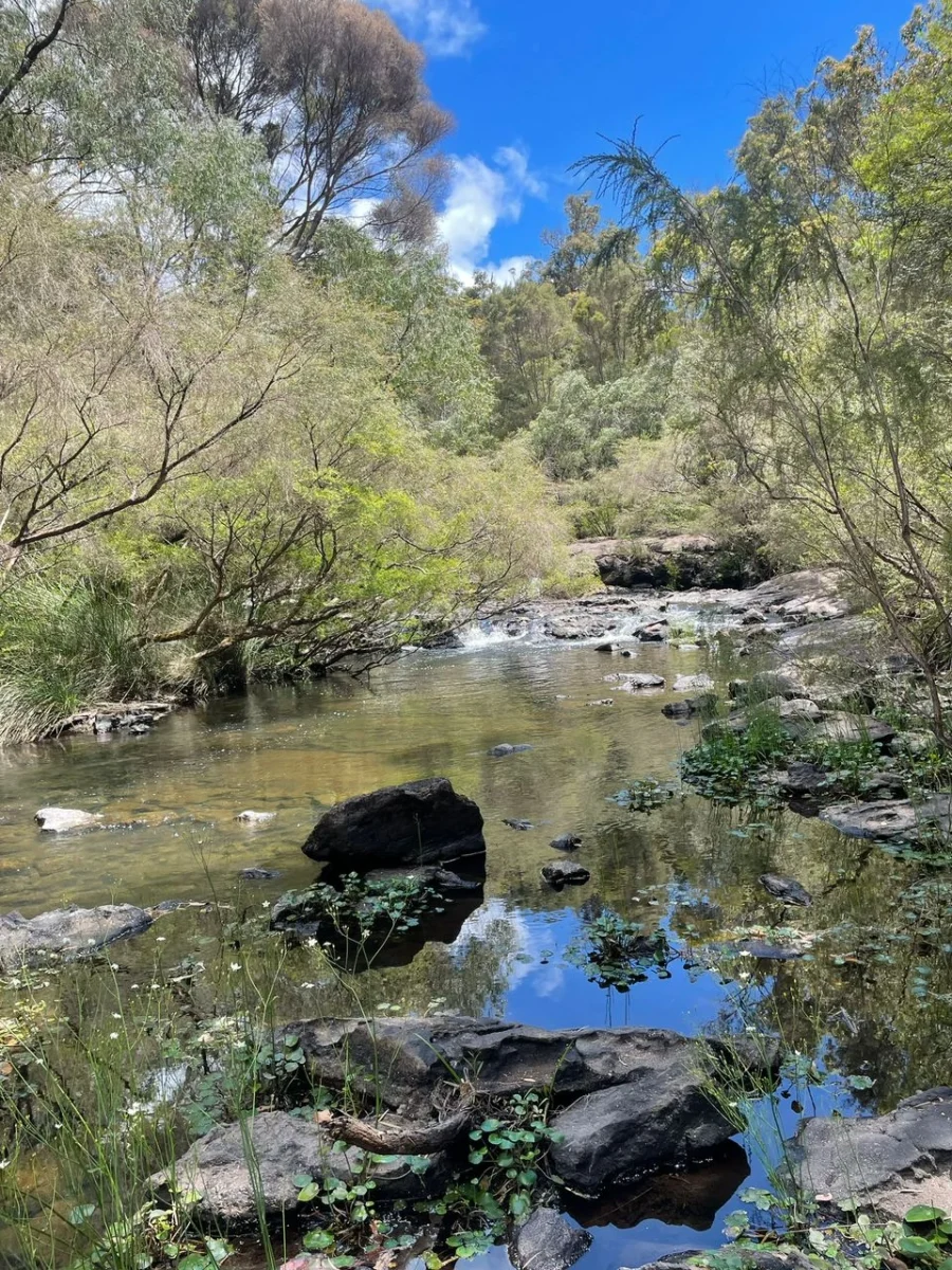 Yallingup, Pemberton, Fremantle: Journey to Western Australia in 2026 Exploring Western Australia