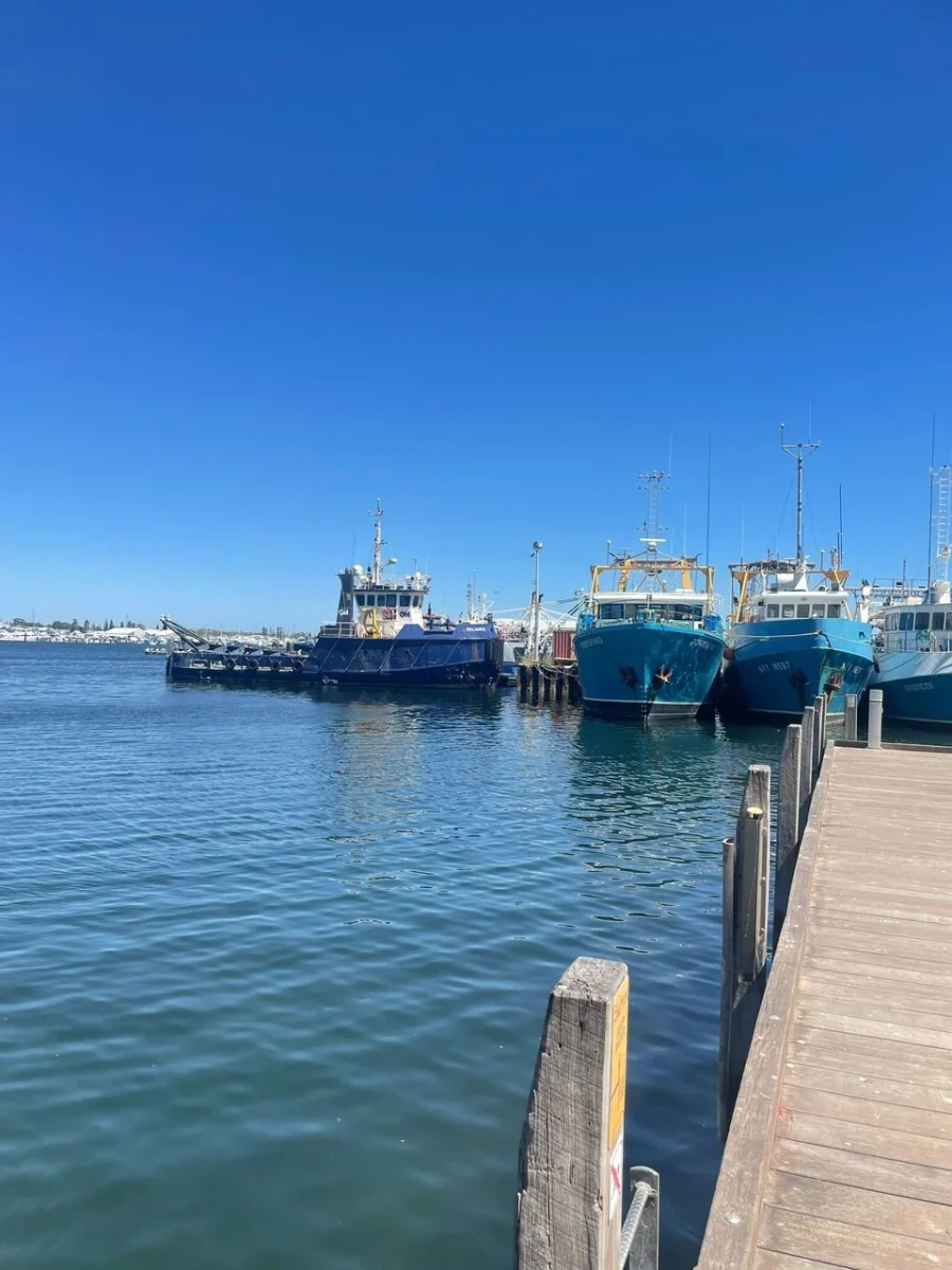 Yallingup, Pemberton, Fremantle: Journey to Western Australia in 2026 Exploring Western Australia