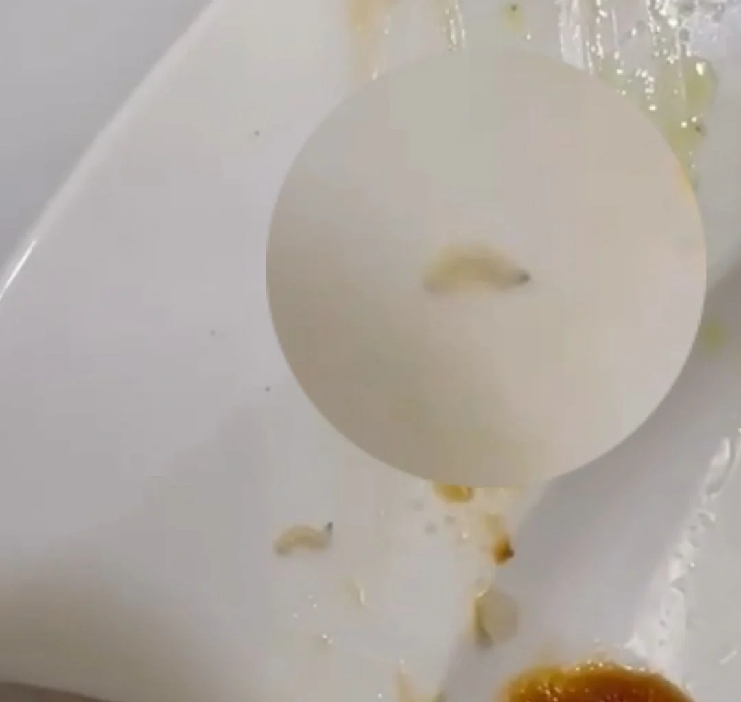 Malaysian claims husband fell ill after eating nasi lemak with alleged 'maggot' at famous KL kopitiam