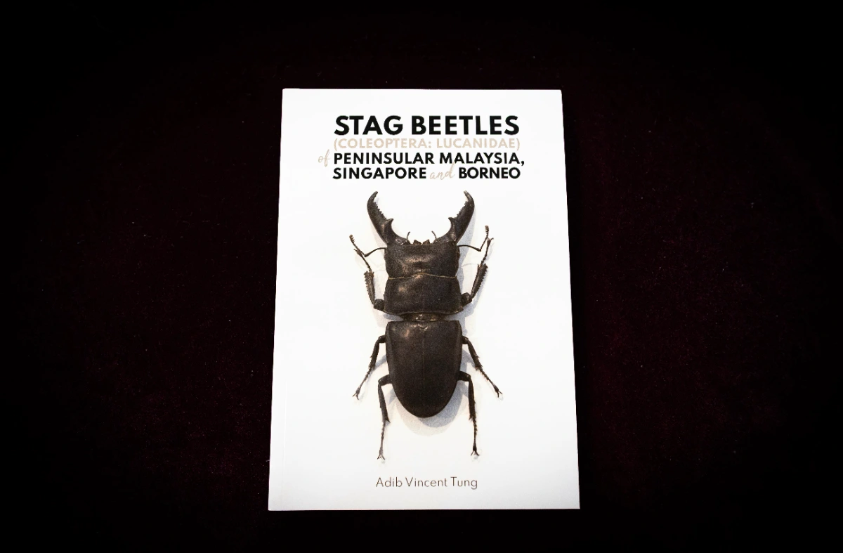 Malaysia launches stag beetle book to boost conservation Malaysia launches stag beetle book to boost conservation