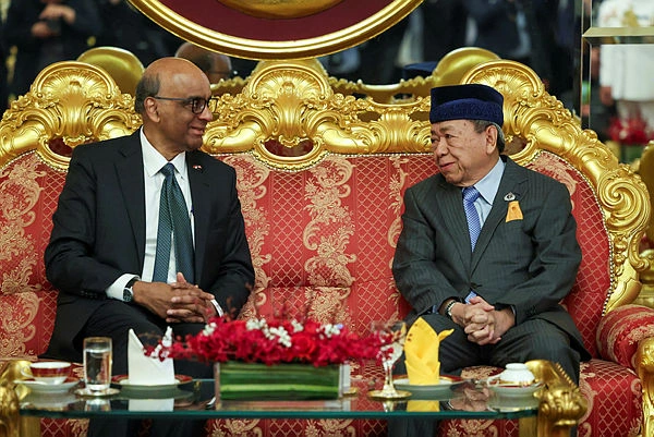 Selangor Sultan grants audience to Singapore President Selangor Sultan grants audience to Singapore President