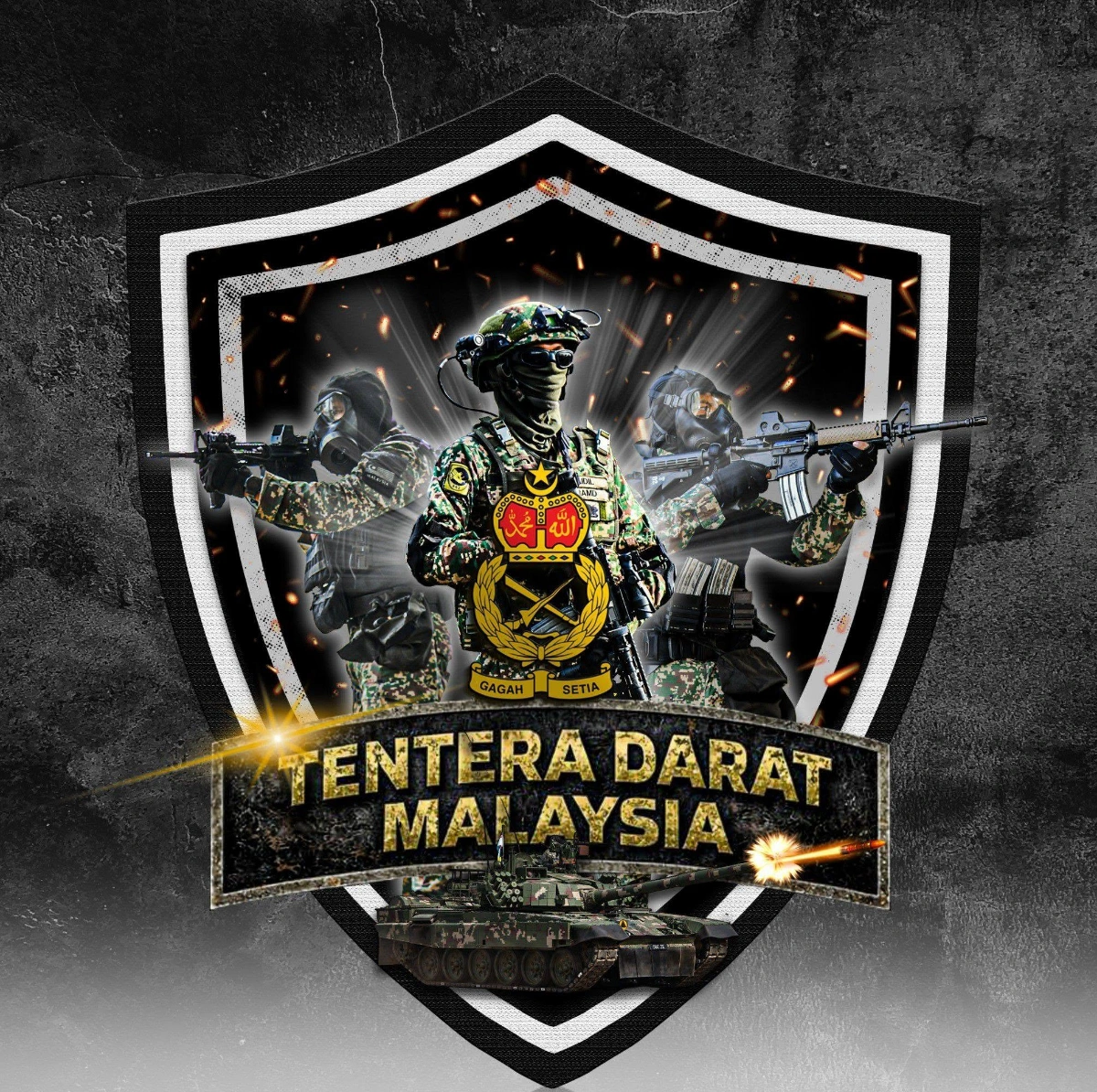 TDM Malaysian army says rape claims contradict facts