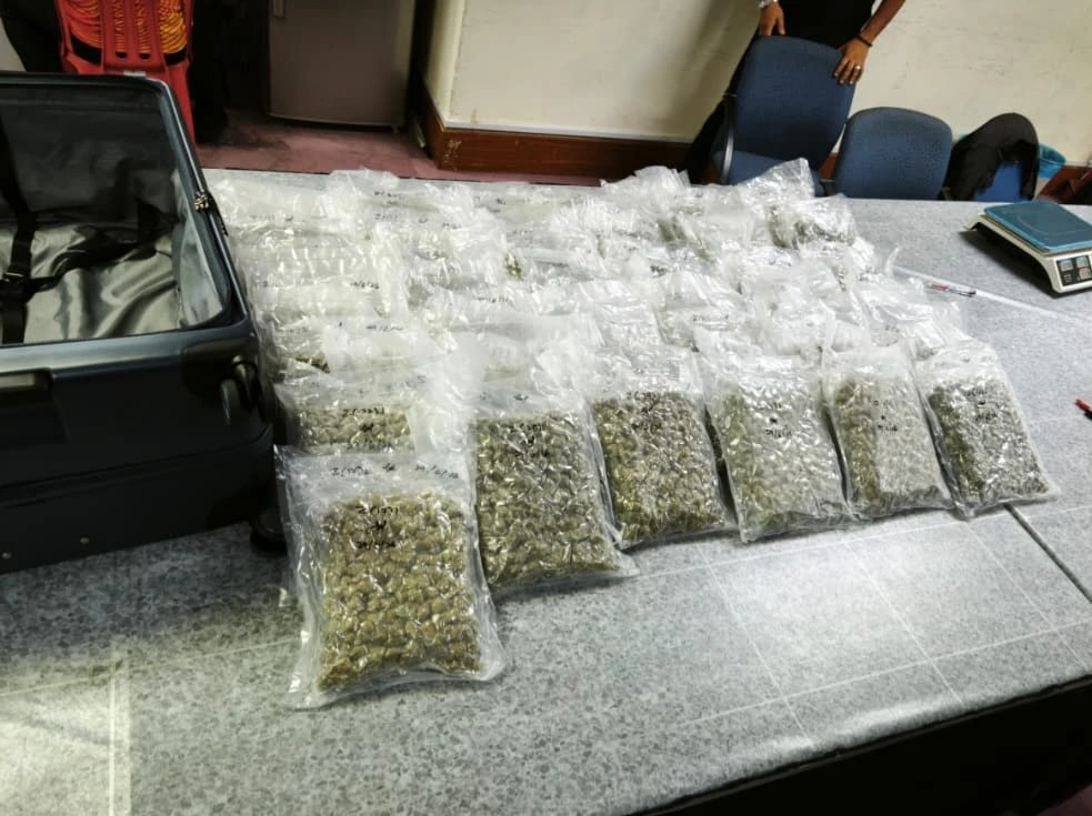 AKPS foils bid to smuggle cannabis worth over RM1 million through KLIA