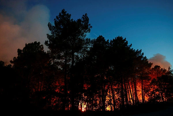 Wildfires ravage over 1,300 hectares of historic forest near Paris