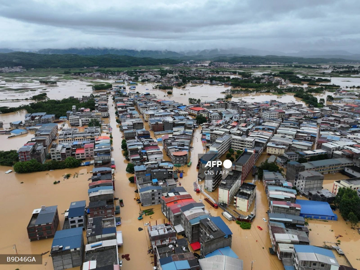 Zoo animals on the loose after floods hit China Zoo animals on the loose after floods hit China